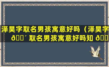 泽昊字取名男孩寓意好吗（泽昊字 🌴 取名男孩寓意好吗知 🐞 乎）